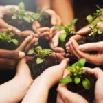 Conservación del medio ambiente