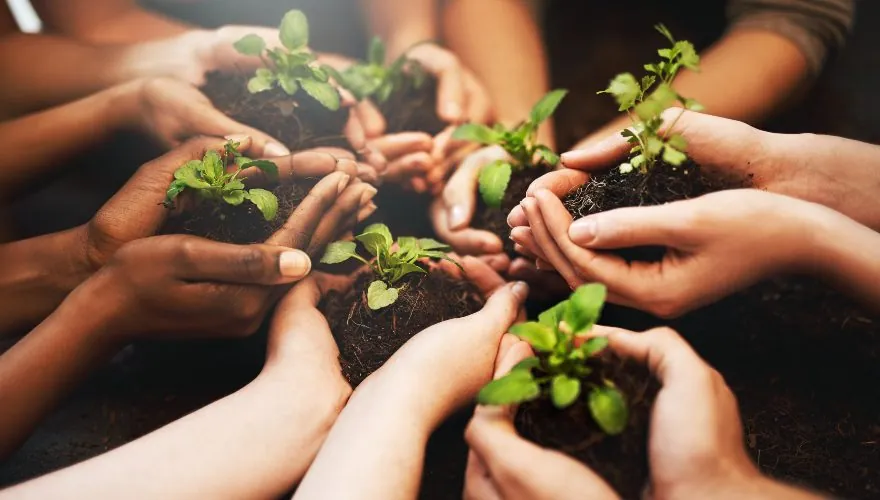 Conservación del medio ambiente