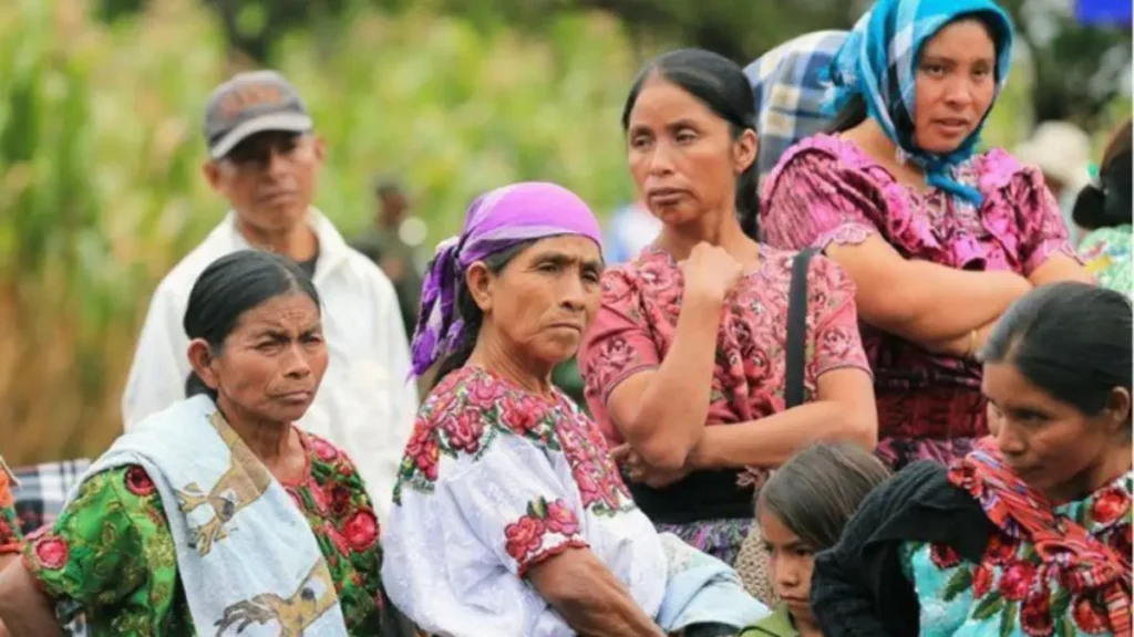 Representación indígena