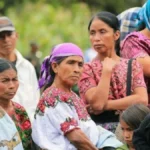 Representación indígena